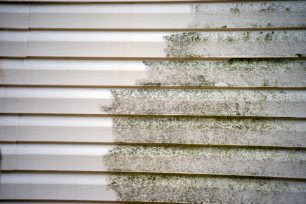 Best Custom Trim and Detailing for Siding  in Enumclaw, WA